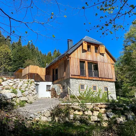 Taja Sredgora